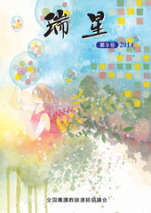 瑞星第9号