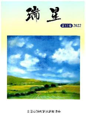 瑞星第13号